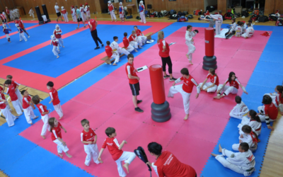 Taekwondo Challenge Day